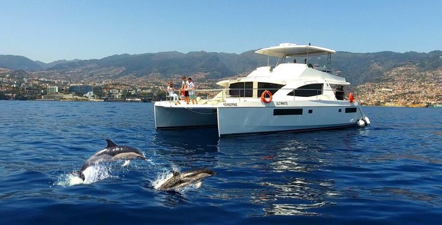 All Inclusive Whale and Dolphin Watching Luxury Tour - The secret stop and onboard hospitality