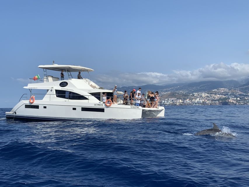All Inclusive Whale and Dolphin Watching Luxury Tour - Who will enjoy this cruise most