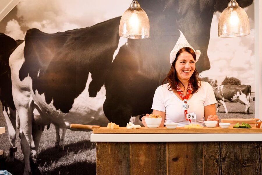 Amsterdam: Premium Henri Willig Cheese Tasting Experience - A Dutch cheese lesson in the heart of old Amsterdam