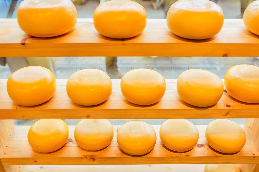 Amsterdam: Premium Henri Willig Cheese Tasting Experience - Who will enjoy this tasting most?