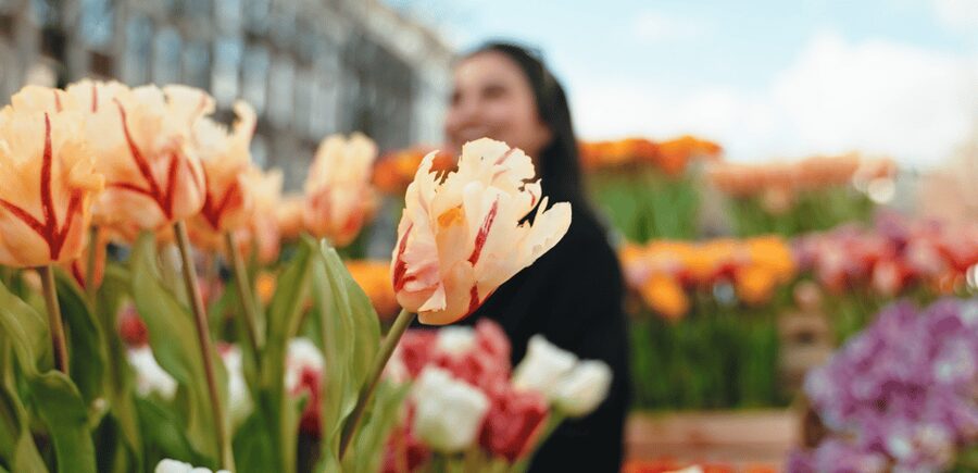 Amsterdam: Premium Tulip Boat Canal Tour - Possible views toward the Amstel River