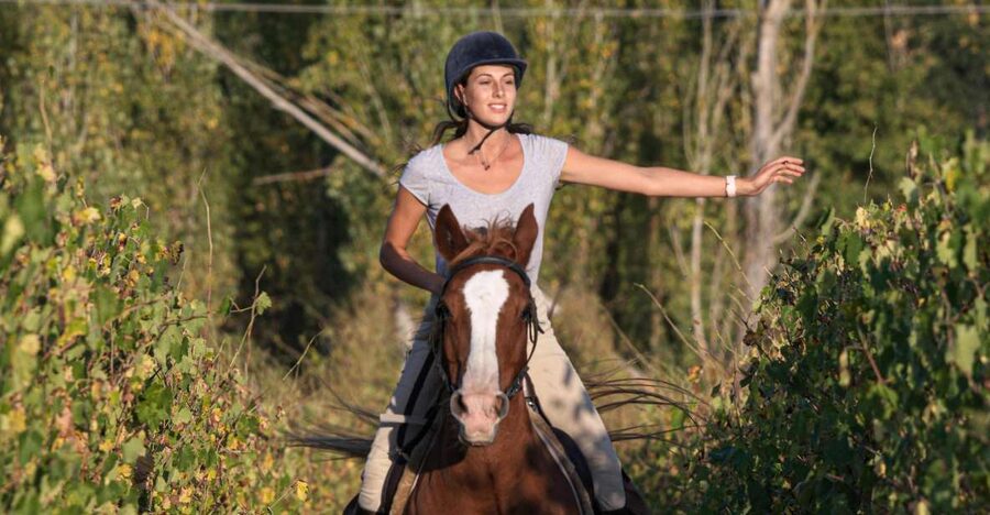An Exclusive Horseback Experience in the Heart of Tuscany - Key points to know before you book