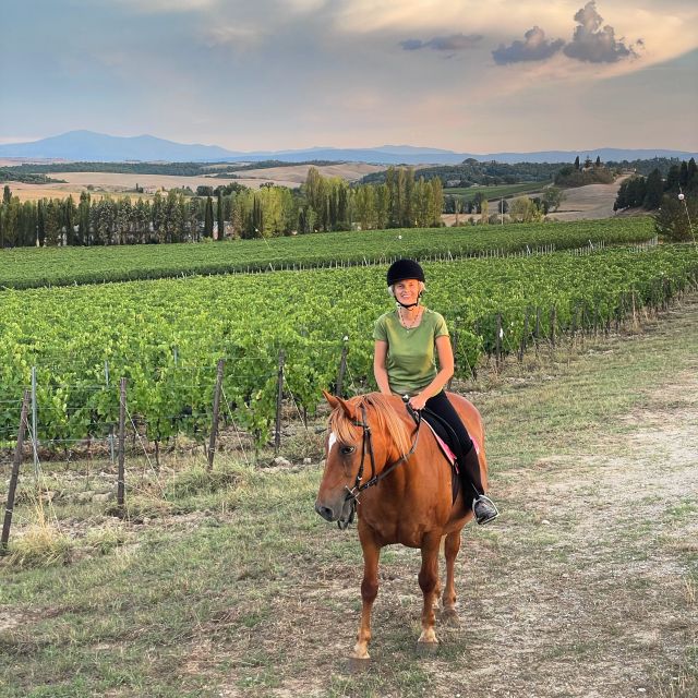 An Exclusive Horseback Experience in the Heart of Tuscany - Calm horses and careful instruction