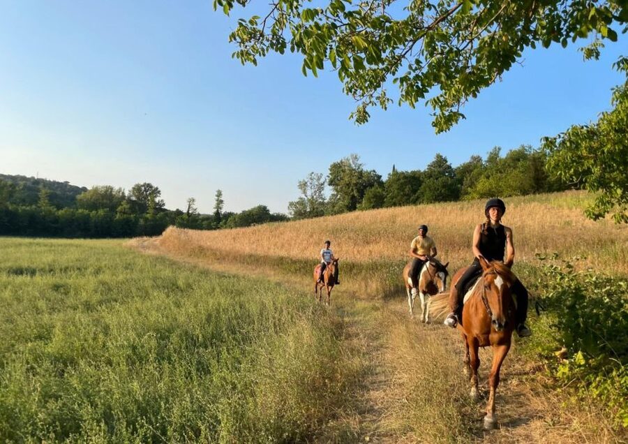 An Exclusive Horseback Experience in the Heart of Tuscany - Who will enjoy this Tuscan horseback ride?