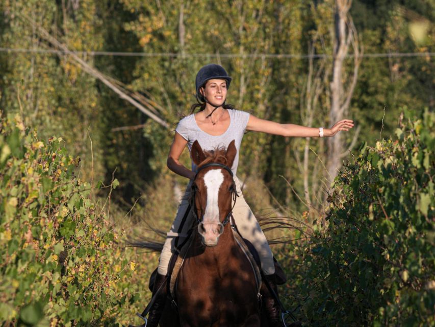 An Exclusive Horseback Experience in the Heart of Tuscany - A one-hour trail through vineyards and olive groves