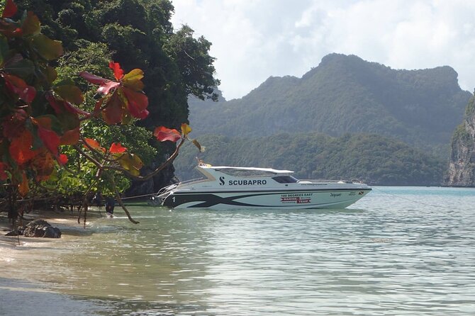 Angthong National Marine Park VIP Small Group Tour - The return ride and hotel drop-off