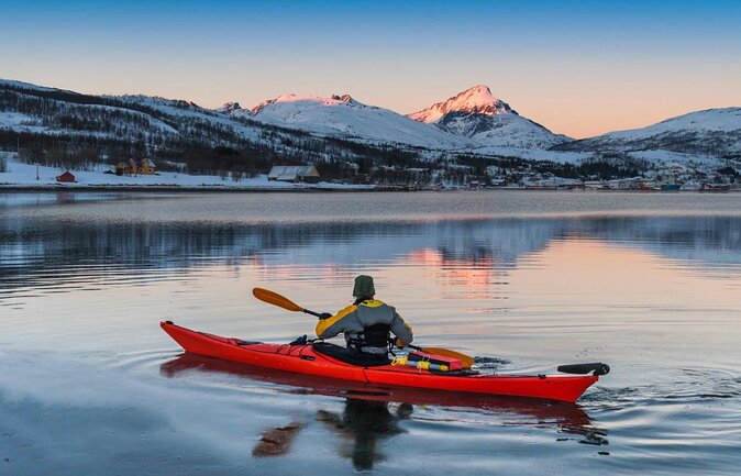 Arctic Fjordcruise & Safari in Tromso with Luxury Catamaran - Key points to know before you sail