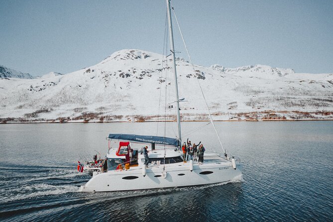 Arctic Fjordcruise & Safari in Tromso with Luxury Catamaran - Leaving Tromsø from Fredrik Langes gate 2
