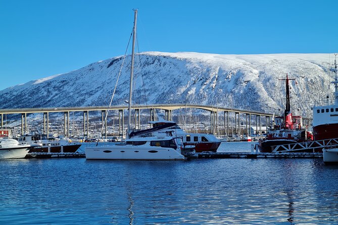 Arctic Fjordcruise & Safari in Tromso with Luxury Catamaran - A guide-led experience, not a scripted ride