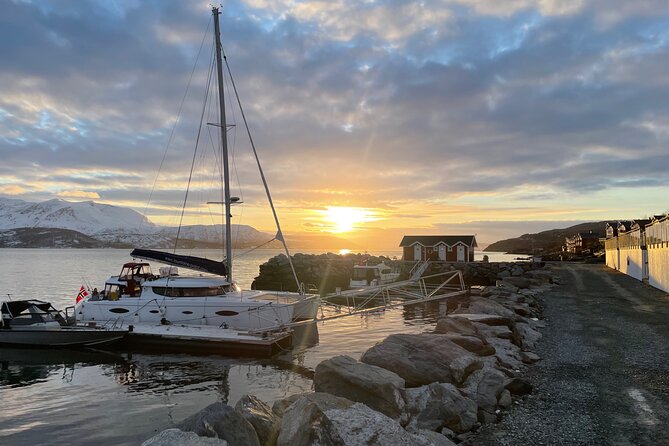 Arctic Fjordcruise & Safari in Tromso with Luxury Catamaran - What the luxury catamaran adds