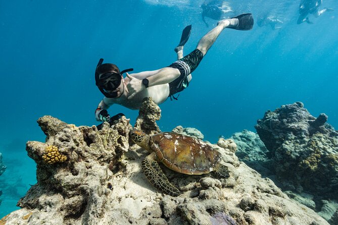 Ariki Adventures: Premium Sea Scooter Turtle Adventure - Safety for Nervous Swimmers and Older Participants