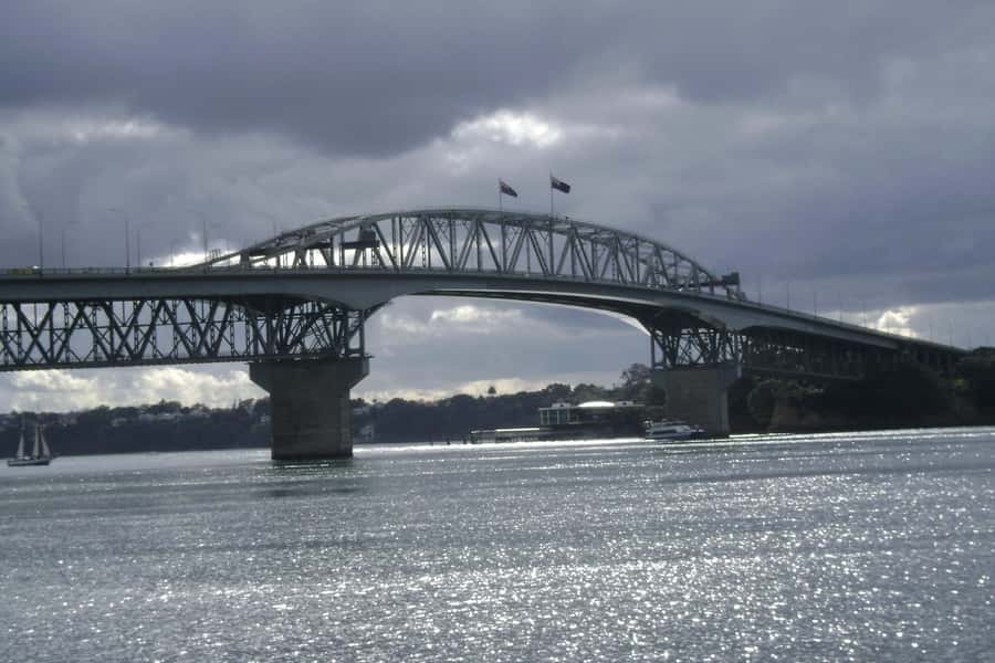 Auckland City, Beaches & Rainforest Premium Small Group Tour - Key points at a glance