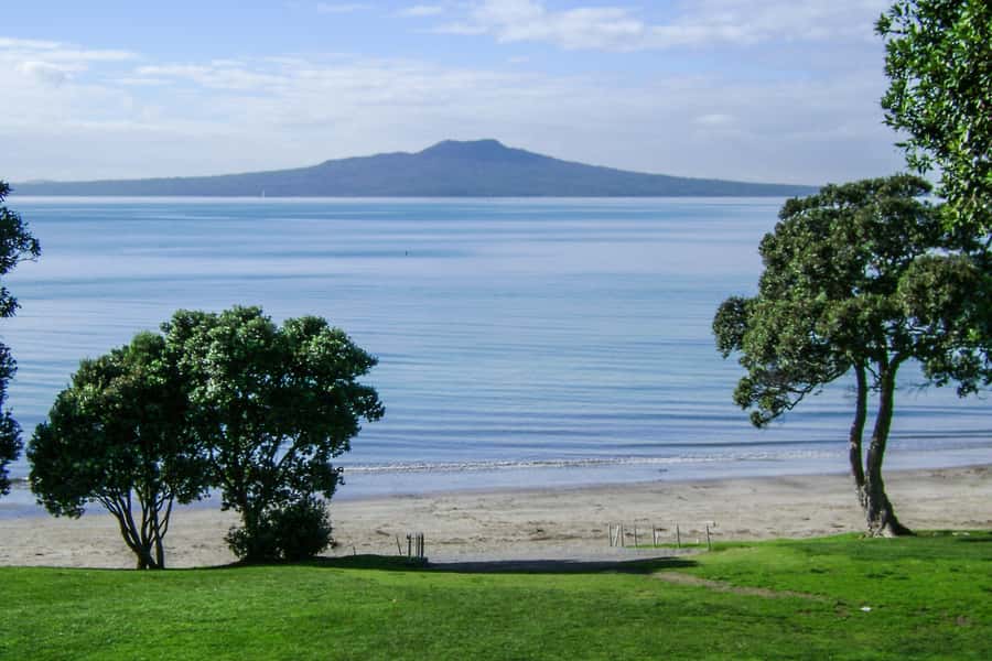 Auckland City, Beaches & Rainforest Premium Small Group Tour - Mt Victoria and the North Shore views