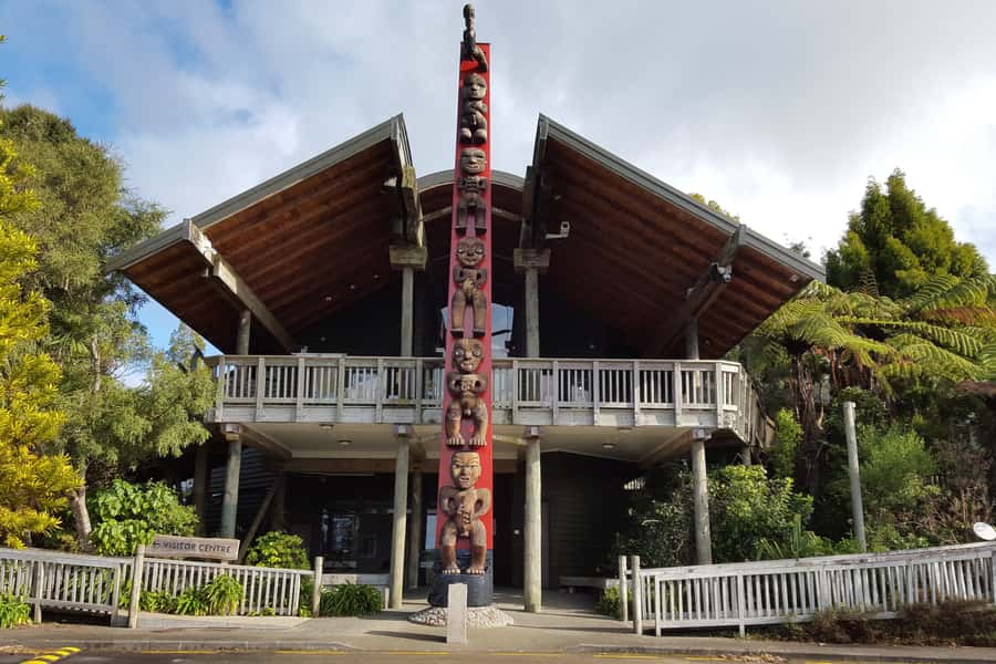 Auckland City, Beaches & Rainforest Premium Small Group Tour - An easy rainforest walk among kauri and tree ferns