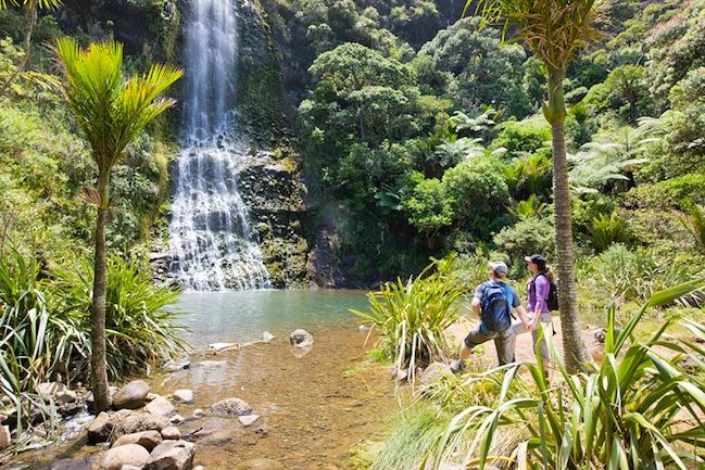 Auckland City & West Coast Luxury Tour - Heading west to the Tasman Sea