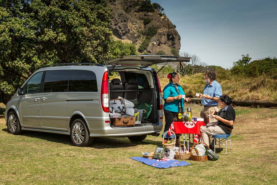 Auckland City & West Coast Luxury Tour - Kauri forest and native New Zealand