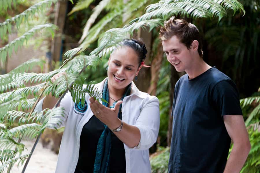 Auckland City & West Coast Luxury Tour - What to bring for an eight hour outing