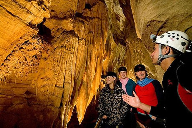 Auckland Sights Exclusive 4 Hour Luxury Day Tour - North Head combines defence history with harbour views