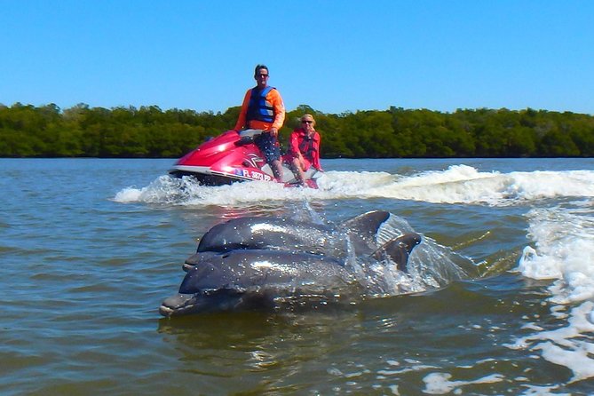 Avi's Premium Dolphin Tour by Jet Ski - Riding into the 10,000 Islands from Goodland