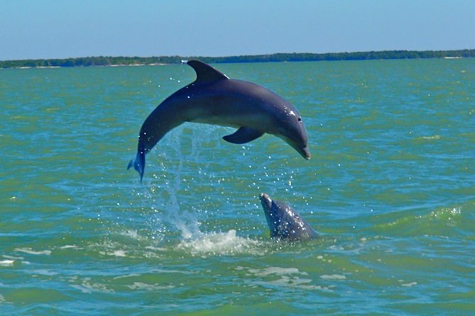 Avi's Premium Dolphin Tour by Jet Ski - Sharing one jet ski with a friend