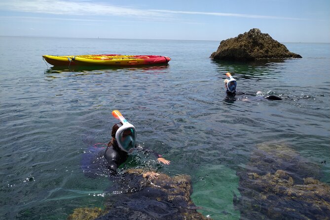 Award Winner Premium Kayak and Coasteering Adventure with Lunch - Snorkeling and small marine life