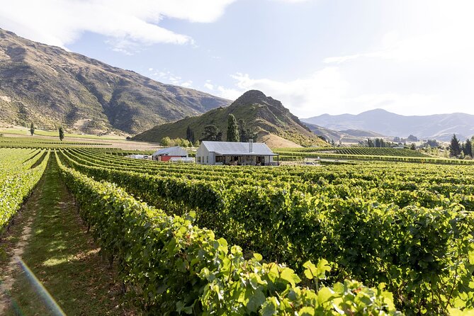 Award Winning Premium Wine Tour Queenstown Tasting at 4 Wineries - Kinross brings together several wine labels