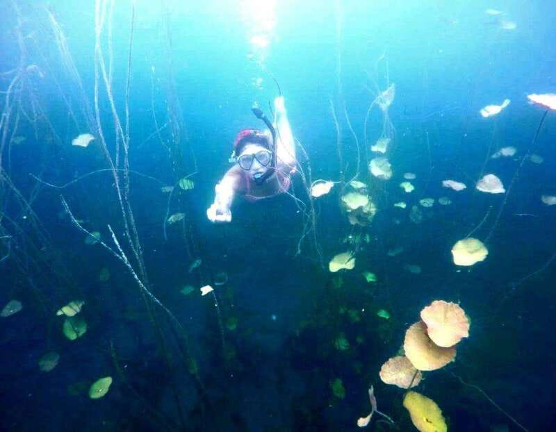 Bacalar: Magnificent Bacalar Lagoon Exclusive Boat Tour - Three cenotes and the lagoon’s changing colors