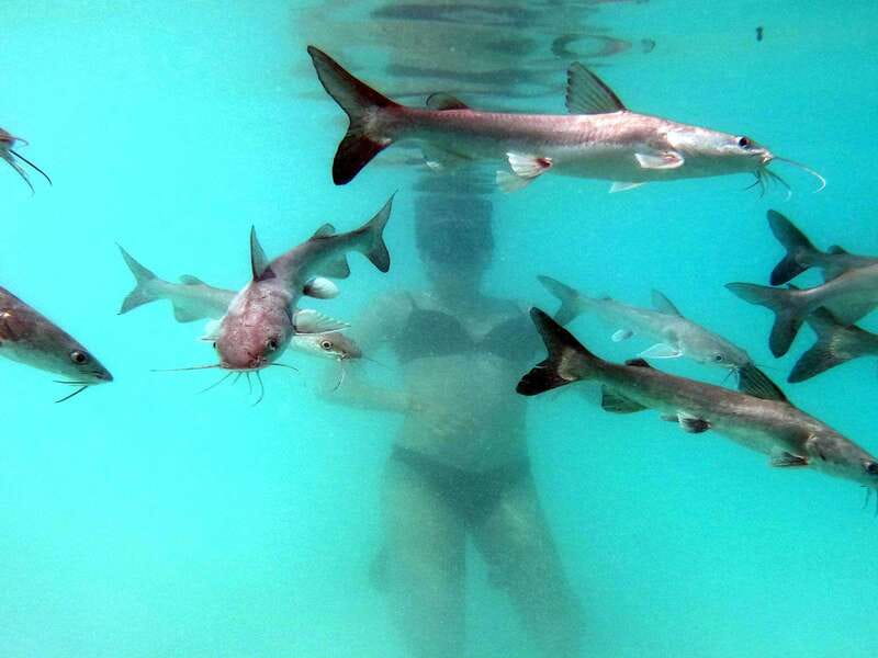 Bacalar: Magnificent Bacalar Lagoon Exclusive Boat Tour - Islands with room for wildlife and quiet views