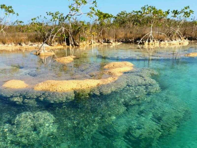 Bacalar: Magnificent Bacalar Lagoon Exclusive Boat Tour - Four ecosystems in one half-day