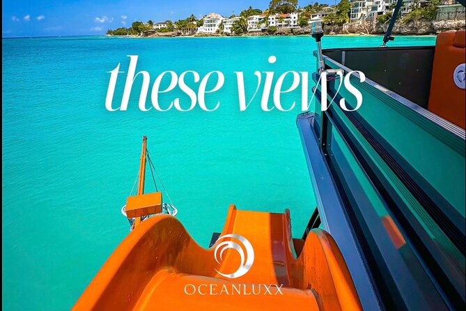 Barbados -Luxury Cruise with Lunch and Open Bar By Oceanluxx - Snorkeling near turtles, fish, and shipwrecks