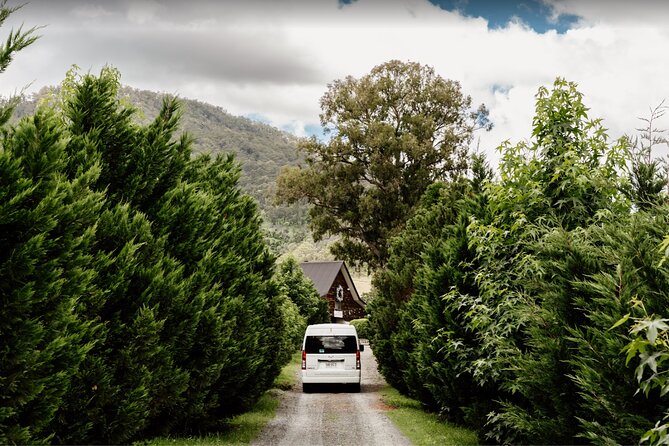 Barefoot Luxury Mount Tamborine Winery Tour from Brisbane - Why Mount Tamborine makes a good wine day from Brisbane