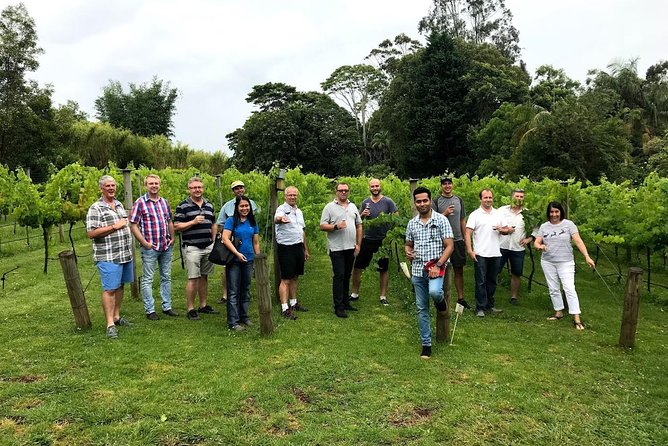 Barefoot Luxury Mount Tamborine Winery Tour from Brisbane - Witches Falls Winery starts the tasting