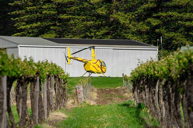 Barossa Valley Deluxe: 30-Minute Helicopter Flight - What makes the private format worthwhile