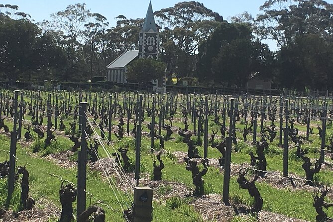 Barossa Valley Private Luxury Tour Full Day - Choosing between Penfolds and boutique wineries