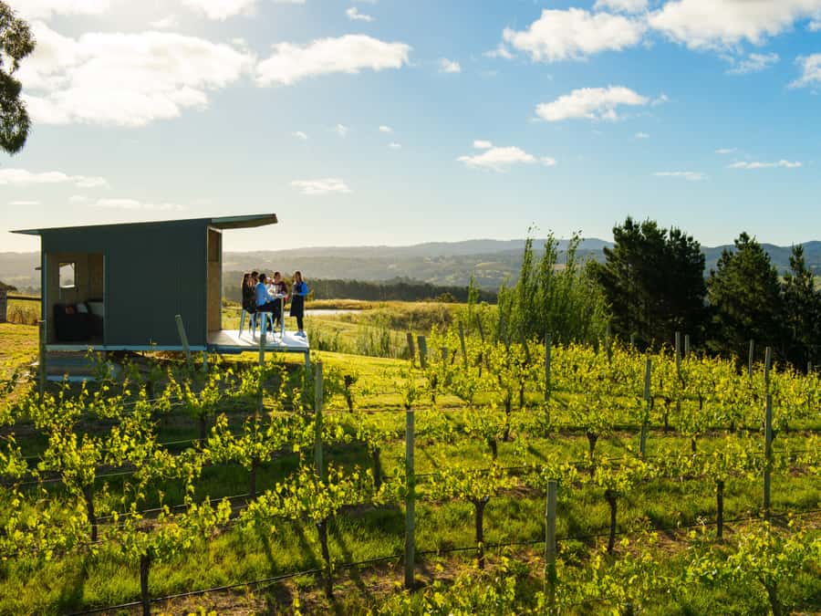 Barossa Wine Tour: Small Group 8 max, Rare, Unique, Premium - Quick reasons to consider this Barossa day