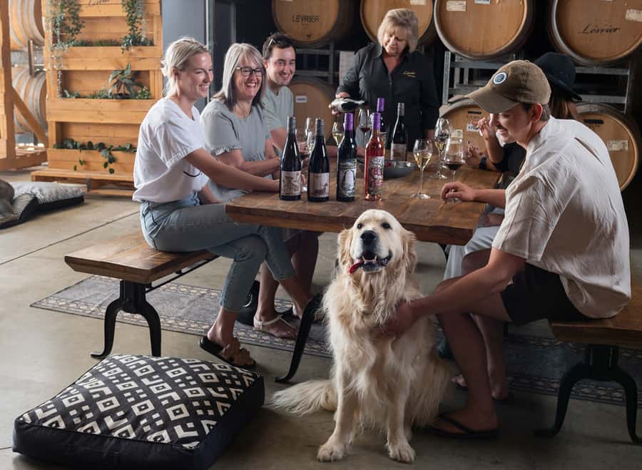 Barossa Wine Tour: Small Group 8 max, Rare, Unique, Premium - What your guide adds to the day