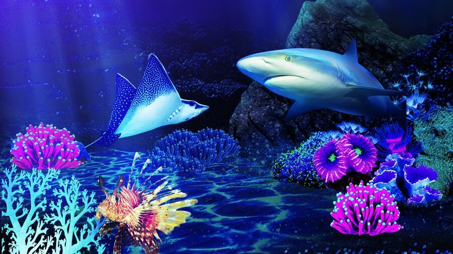 Benalmádena: Sea Life Benalmádena Premium Entry Ticket - Rays, turtles, and smaller marine life