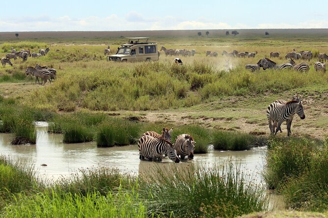 Big Five Luxury 7 Days Safari Tour in Arusha - Day 2: Elephants and open country in Tarangire