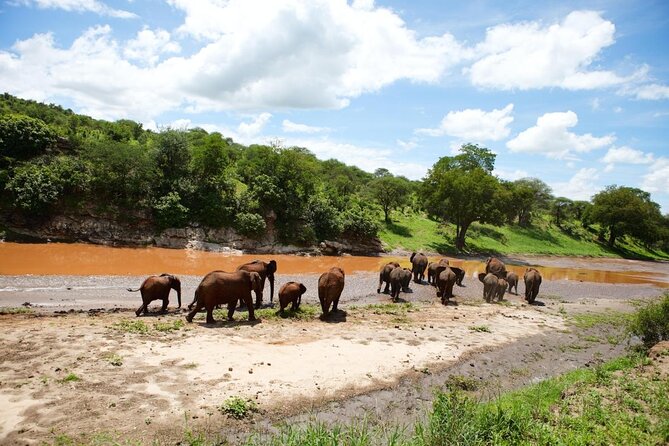 Big Five Luxury Safari in Tanzania - Key points to know before booking