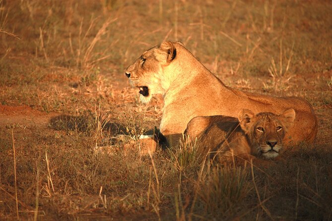 Big Five Luxury Safari in Tanzania - Day 3: The road to the Serengeti