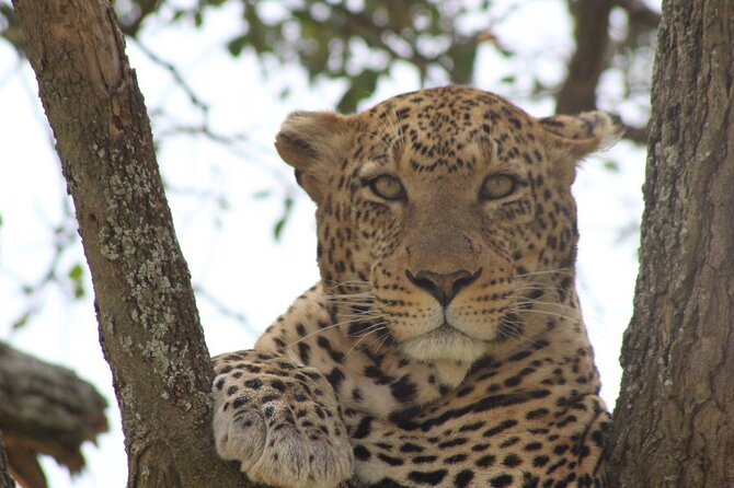 Big Five Luxury Safari in Tanzania - Day 2: Lake Eyasi adds a quieter change of pace
