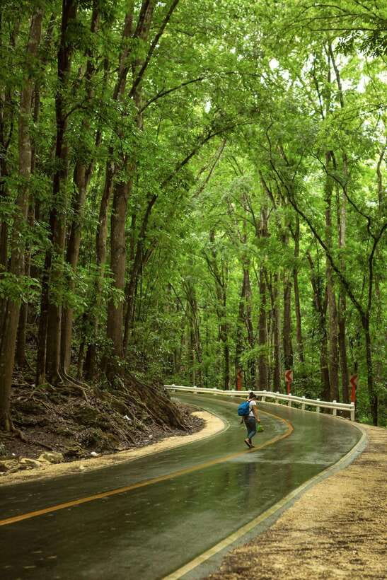 Bohol: Premium Chocolate Hills, Tarsiers & River Experience - Reaching the Chocolate Hills viewpoint