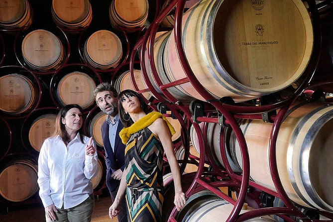 Bolgheri: Premium Wine Tasting with Winery Tour - Key points to know before you book