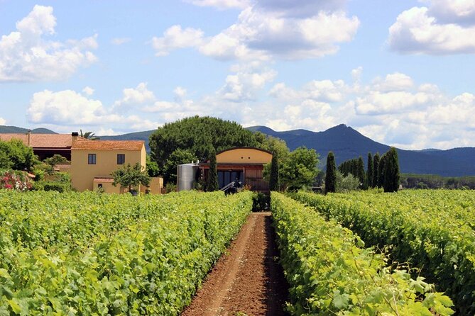 Bolgheri: Premium Wine Tasting with Winery Tour - How the $66.52 price holds up