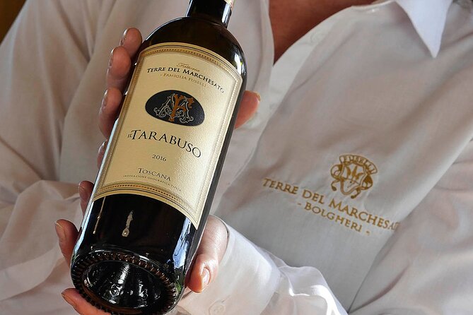 Bolgheri: Premium Wine Tasting with Winery Tour - Starting among the vines in Bolgheri