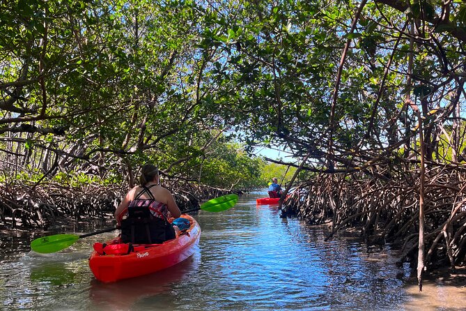 Bonita Springs Eco Kayak Tour – Best Gear, Premium&Clear Kayaks - Key points at a glance