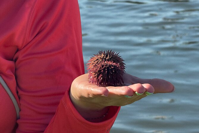 Bonita Springs Eco Kayak Tour – Best Gear, Premium&Clear Kayaks - The guides shape the experience