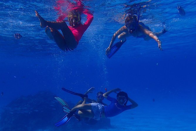 Bora Bora: Luxury Private Half Day Snorkeling Tour - The water access point you need to understand