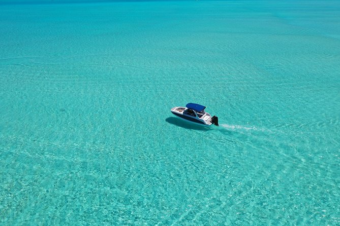 Bora Bora: Luxury Private Half Day Snorkeling Tour - Who will get the most from this tour
