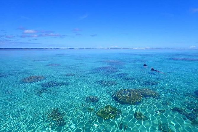 Bora Bora: Luxury Private Half Day Snorkeling Tour - Three or four stops around the lagoon